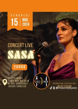 Sasa Serap en concert